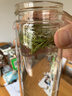 竹叶青绿茶品味 峨眉山茶特级45g 2026春茶明前茶袋装茶叶自己喝1416 实拍图
