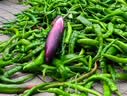 佰伶佰俐 保温袋 铝箔加厚【20个装】户外食品海鲜冷藏冰袋 小号 实拍图