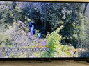 TCL雷鸟电视 55雀4 55英寸 144Hz高刷 2+32GB 护眼模式 自定义遥控器 55F270C-JN 55英寸 平板电视 实拍图