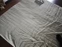 洁丽雅（Grace）A类7A抗菌100%纯棉床单单件家用床罩230*245cm 浅豆绿 实拍图