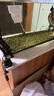 爱马斯（AMMEX）一次性手套乳胶100只大码加厚实验室防护清洁原装进口橡胶手套 实拍图