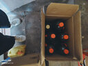 加加 精选系列 特酿生抽1.85kg【0添加 一级】0添加白砂糖 酿造酱油 实拍图