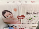 好奇（Huggies）好奇铂金装小桃裤纸尿裤M144片(6-11kg)中号尿不湿【透爽散热】 实拍图