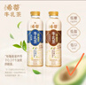 统一希蒂玫瑰普洱牛乳茶450ml*15瓶整箱奶茶（新旧款随机发货） 实拍图