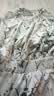 德玛纳【印花连衣裙】春秋圆领收腰长袖印花连衣裙女春秋 实拍图