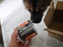 疯狂小狗 狗零食狗狗磨牙棒 泰迪金毛幼犬成犬洁齿骨头耐咬胶 牛肉味220g 实拍图