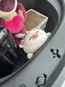 名创优品（MINISO）小猪B-BO翅膀款趴毛绒公仔玩具玩偶抱枕娃娃靠枕生日礼物女 实拍图