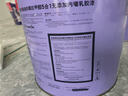 立邦乳胶漆涂料京雅居墙漆高倍防霉抗甲醛五合一18L/约25kg 可调色 实拍图