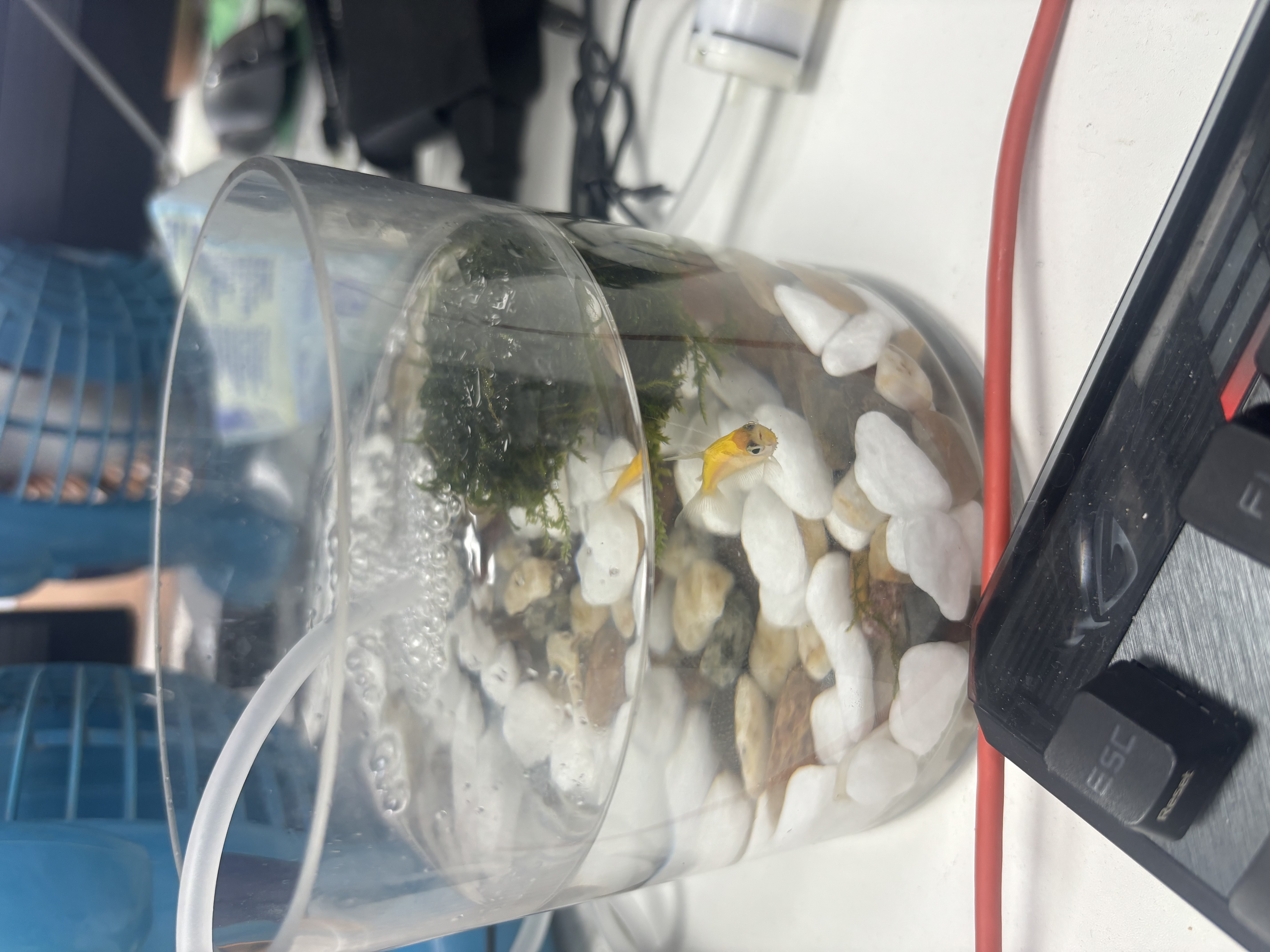 HOMK【精工】面盆水龙头洗脸盆冷热浴室洗脸盆洗手池台盆万向水龙头 实拍图