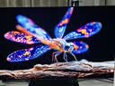 LG电视 48英寸 OLED48G5PCA【送爱奇艺年卡】 实拍图