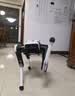 DOBOT越疆Rover X1智能机器狗2026新款 AI语音对话家庭陪伴电子宠物自主跟随机械狗具身智能四足机器人 晒单实拍图