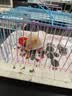 名创优品拖鞋女家居踩屎感室内鞋新款可爱四季拖鞋  美乐蒂粉 36-37 实拍图
