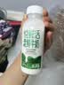 君乐宝悦鲜活有机鲜牛奶260ml 实拍图