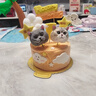 海昌美瞳日抛彩色隐形眼镜大小直径星眸本命色30片黑色系 轻茉黑325度 实拍图