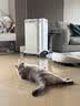 IQAir空气净化器家用除猫狗过敏原宠物毛发除二手烟除雾霾除菌除甲醛 瑞士进口 HP250 XE 实拍图