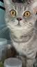 亿迪 猫罐头12罐零食幼猫成猫金枪鱼磷虾补水汤罐营养主食小罐 实拍图