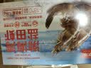 鲜京采 渤海湾盐田海白虾 净重3斤  单冻 75-90只/盒 实拍图