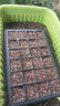 德沃多蔬菜专用植物营养土40L园艺种菜土壤盆栽果蔬花土种植 实拍图