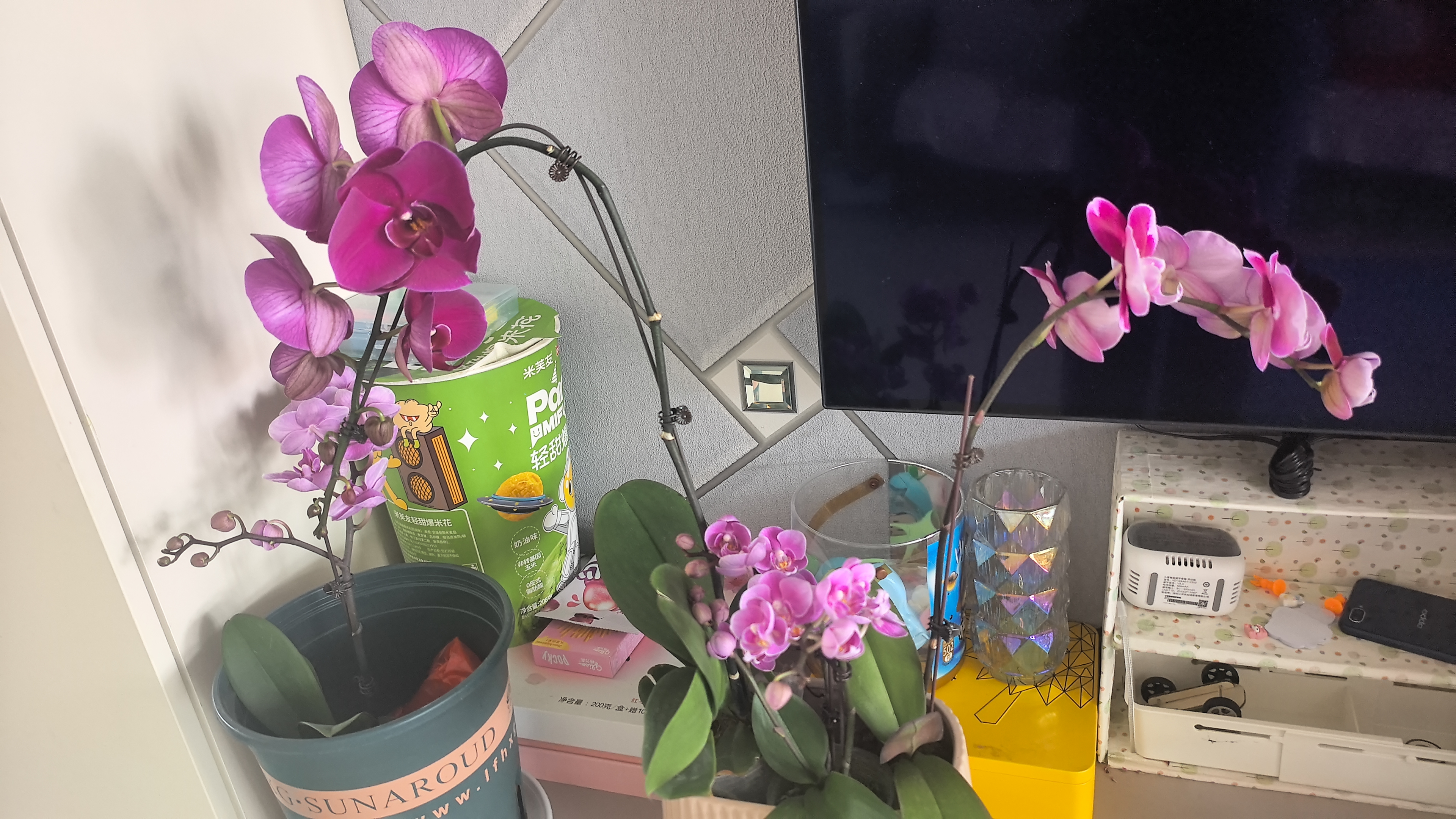 盆生花道长方形陶瓷花盆ins风简约高颜值室内绿植盆栽奶油风家用 长竖纹带托盘哑茶色(配陶瓷托盘) 无规格 实拍图