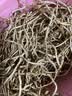 京喜加【26年新根】新鲜鱼腥草折耳根嫩根凉拌节节根现挖猪鼻孔带泥 带泥折耳根1斤 尝鲜装 实拍图