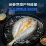 1号会员店（One's Member）宁德地理标志三去黄鱼鲞(3条) 净重750g 大黄鱼 黄花鱼鱼干生鲜 实拍图