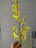 爱已装糖仿真花绿植假花花瓶插花diy花束塑料花客厅摆件装饰花跳舞兰1束 实拍图