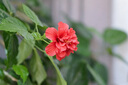 适马（SIGMA）Art 85mm F1.4 DG DN 全画幅微单 大光圈定焦镜头 人像肖像特写（索尼E卡口） 实拍图
