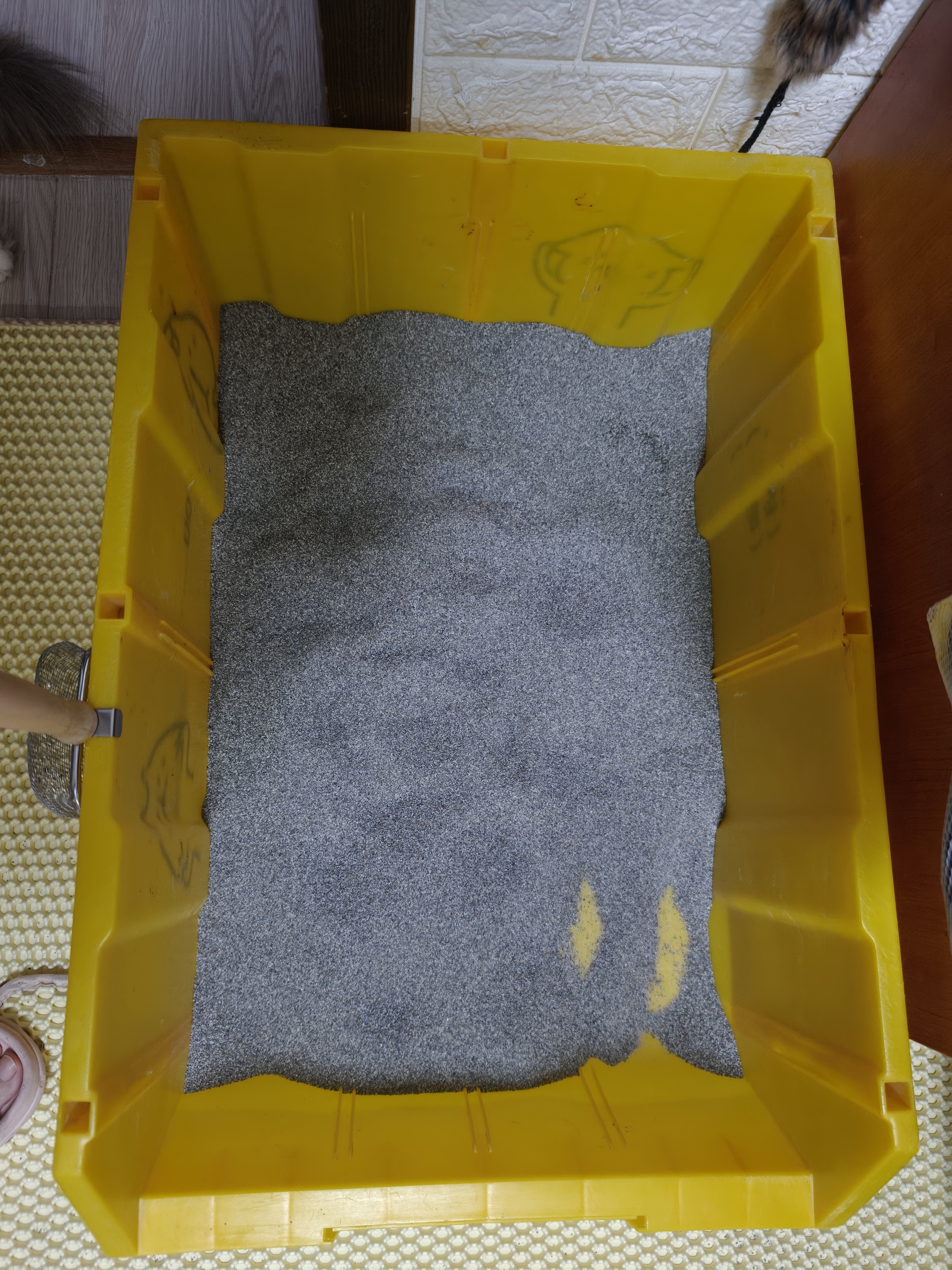 艾禾美（ARM&HAMMER）铁锤猫砂尘控低敏28磅膨润土钠基矿石猫沙矿砂进口猫用品除臭低尘 实拍图
