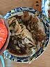 鲜活青蟹(肉蟹)150-200g/只 实拍图
