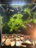 real Techniques美妆蛋海绵彩妆蛋2只装化妆干湿两用粉扑 实拍图