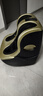 奥克斯（AUX）足疗机腿部按摩器揉捏加热多功能足底按摩仪送父亲母亲节日礼物 【香槟金】足底按摩+腿脚两用+多频震动+暖风加热 实拍图