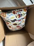 宜家（IKEA）RODARV洛达夫刺绣靠垫卧室客厅沙发抱枕午睡枕趴睡枕 多色靠垫 40*65cm 实拍图