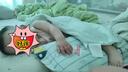 柯斯德尼（kidsneed）婴儿枕头儿童6个月以上1-3岁宝宝枕头儿童分区护颈枕婴幼儿枕头 实拍图