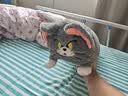 猫和老鼠（Tom and Jerry）抱枕毛绒长条睡觉抱枕女生抱睡公仔靠枕玩偶汤姆猫豪华版65cm 实拍图