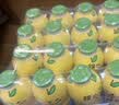 金豆芽儿童金银花柚子汁155ml*16瓶夏天孩子饮料宝宝果汁西柚汁 实拍图