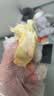 菜百首饰“财富”投资金条 足金Au999.9黄金金砖 投资 收藏礼品 “财富”金条 100克(不支持7天无理由退换货) 实拍图