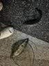 kastking卡斯丁路亚竿免组套装双竿稍纺车轮路亚全套碳素抛杆海竿钓鱼竿套 实拍图
