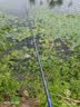 汉鼎一号5代鱼竿超轻手竿4.5米台钓竿鲫鱼竿碳纤维手杆 4.5m综合竿 实拍图