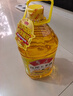 鲁花 食用油  非转基因 玉米油 桶装 5L  实拍图