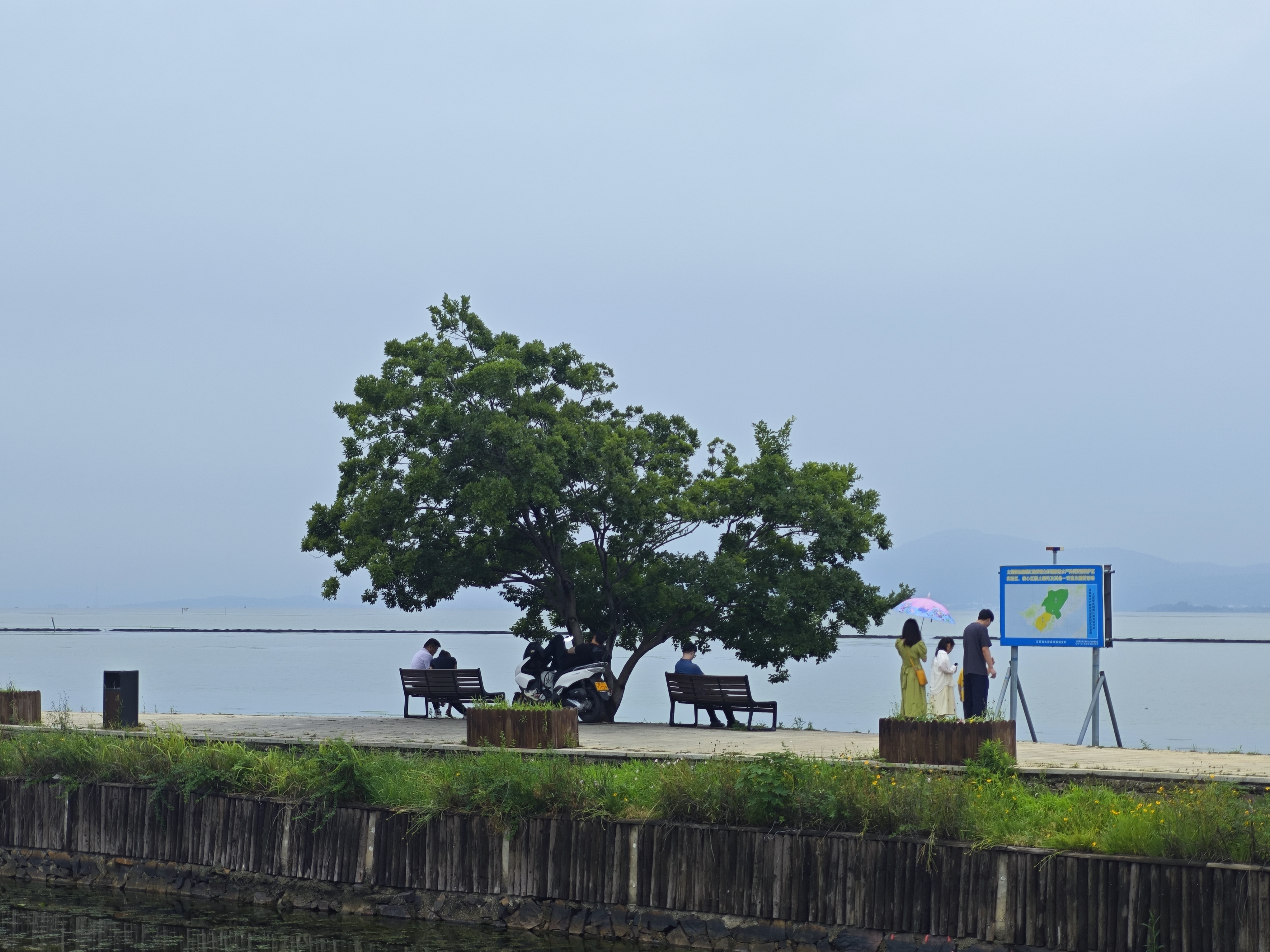 红蜻蜓镂空皮鞋夏季爸爸一脚蹬透气商务休闲皮鞋男WTA428601L黑色40 实拍图