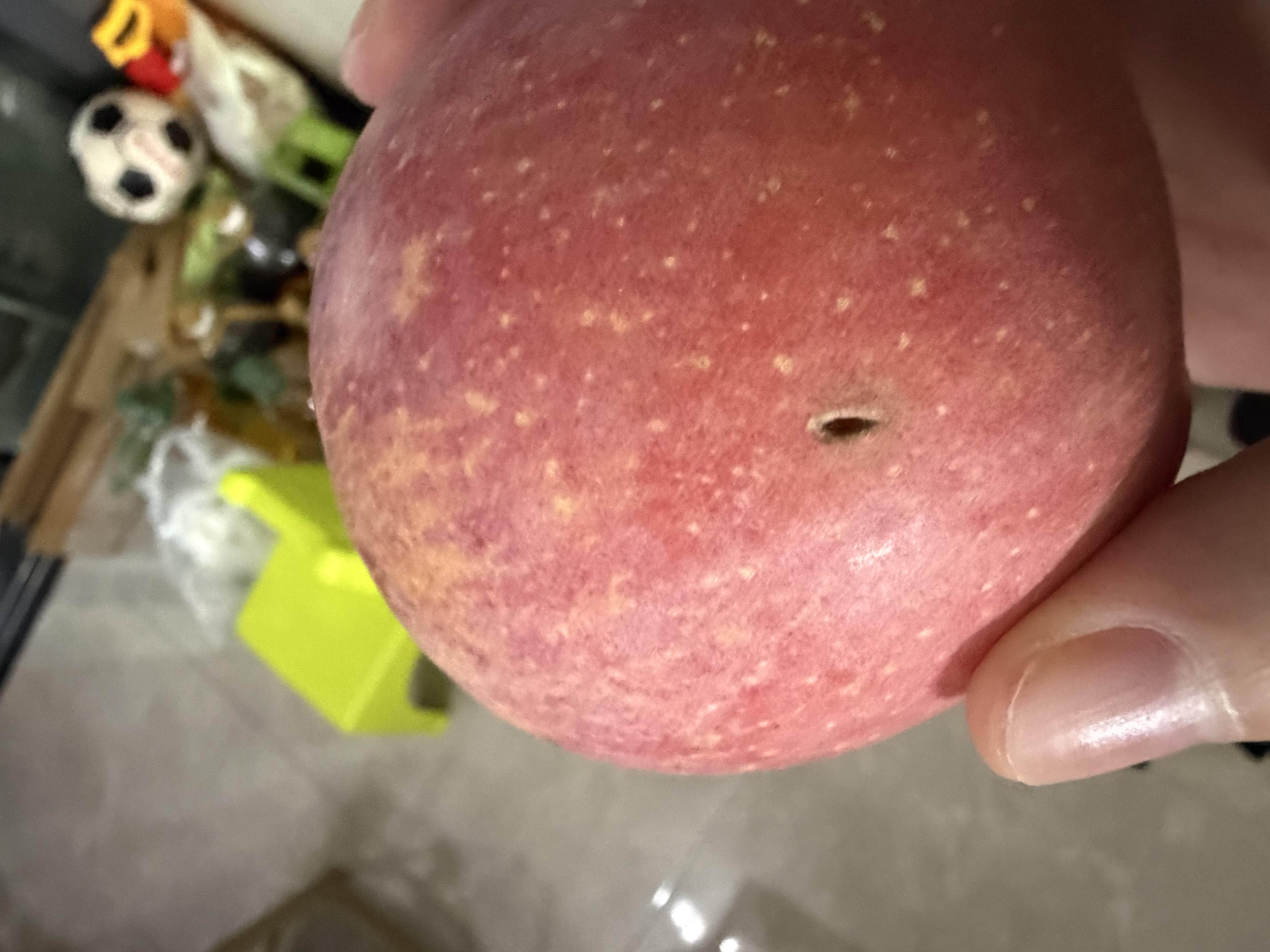 羚特月亮钓椅轻量全聚拢镂空透气便携折叠钓鱼椅 卡其色豪华套餐 实拍图