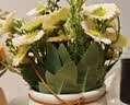 九千谷假花仿真花摆设小雏菊白色盆栽塑料花束办公室假花白色瓶3520 实拍图