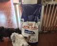 皇家狗粮 成犬狗粮 犬粮 宠物大型犬 GR26全价犬粮≥15月15KG 实拍图