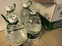 怡宝 饮用水 纯净水4.5L*4桶装水 整箱装 实拍图