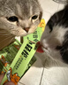 多特思猫零食猫条200支混合口味0肉粉0诱食剂猫咪鱼油罐头湿粮 实拍图