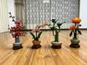 乐高（LEGO）积木10368 黄金菊男女孩玩具生日礼物家居装饰摆件 实拍图