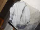 adidas实用运动健身休闲出游双肩背包 多巴胺配色 阿迪达斯官方 浅蓝色   均 码 实拍图