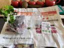 临雅水培圆叶福禄桐钱多多盆栽植物客厅桌面水养绿植四方瓶源头直发 实拍图