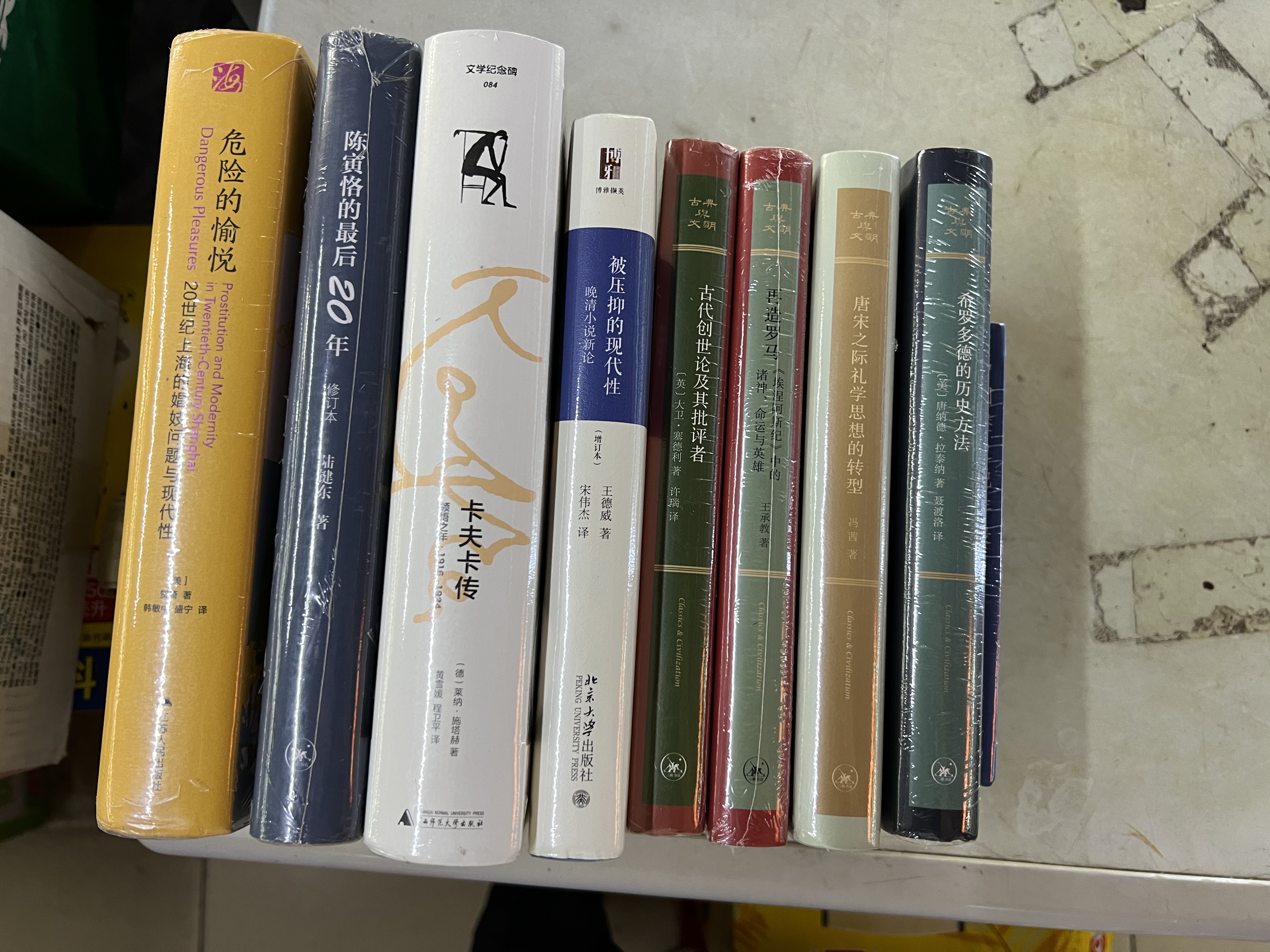 海外中国研究系列·危险的愉悦：20世纪上海的娼妓问题与现代性 实拍图