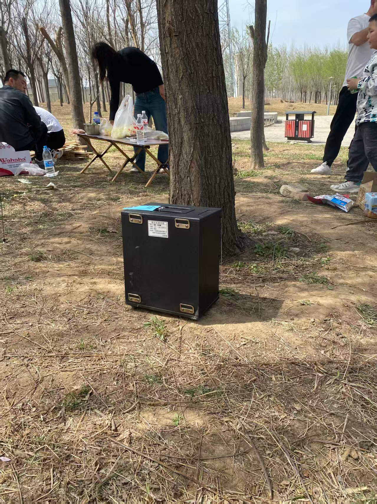 AVOIV欧曼M-108/M-168/M810户外背带弹唱三分频麦高便携式插卡音响广场舞叫卖摆摊无线串联直播蓝牙音箱 108型号8寸两分频 音响+两个无线话筒 实拍图
